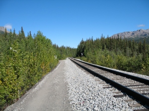 Alaska_Railroad_tracks